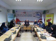 در نوزدهمین جلسه‌ی کمیته مقابله با پشه آاِدس تاکید شد؛ جلب مشارکت‌های مردمی و همکاری دستگاه‌ها برای مقابله با وفور پشه آاِدس