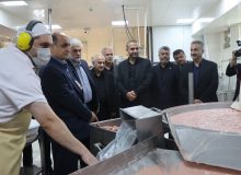 بازدید استاندار گیلان و مدیرعامل سازمان منطقه آزاد انزلی از واحدهای تولیدی شهرك صنعتی منطقه