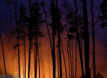 مهار آتش‌سوزی ۱۰ هزار مترمربعی در اراضی دست‌کاشت لاکان رشت