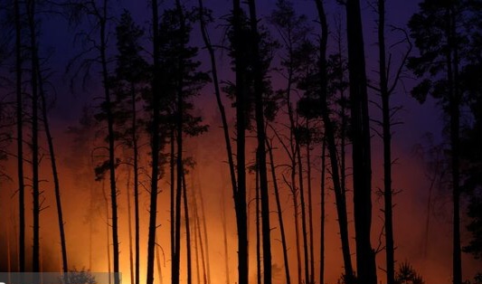 مهار آتش‌سوزی ۱۰ هزار مترمربعی در اراضی دست‌کاشت لاکان رشت