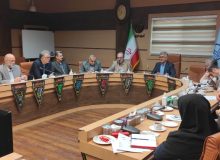 رئیس دانشگاه علوم پزشکی گیلان خبر داد: تولد ۵۵۸ نوزاد گیلانی در جنگ تحمیلی اسراییل علیه ایران