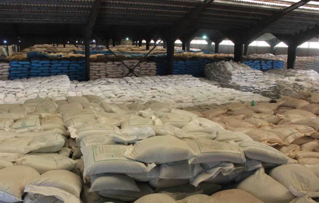 مدیر شرکت خدمات حمایتی کشاورزی استان گیلان از ثبات قیمت کود های فسفاته و‌پتاسه خبر داد