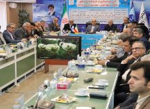 همزمان با هفته دولت ، افتتاح ۲۱۳ پروژه مخابراتی گیلان با حضور استاندار