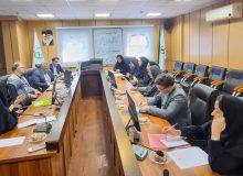 ارزیابی شاخص‌های سلامت برنج استان در معاونت غذا و دارو دانشگاه