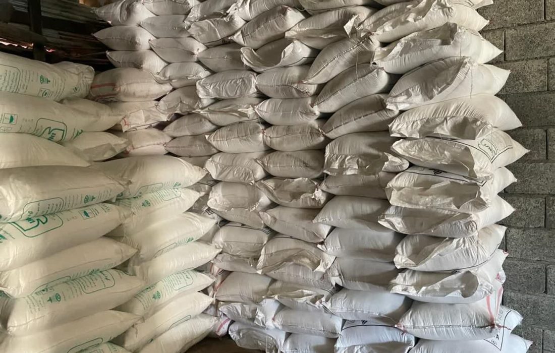 بیش از ۳۳۵۰۴ تن کود یارانه ای دولتی بین کارگزاران در سطح استان گیلان تا پایان تیرماهه سال ۱۴۰۴ توزیع شد