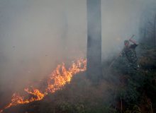 حریق سه هكتار ا ز اراضی جنگلی لاکان رشت مهار شد