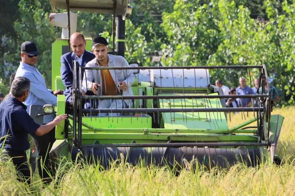 استاندار گیلان: بهره وری در تولید برنج یک ضرورت اجتناب ناپذیر برای گیلان است