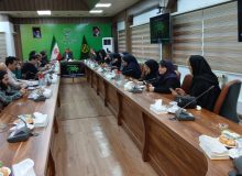 گیلان با مدیریت آب، سال زراعی برنج را به خوبی پیش می‌برد