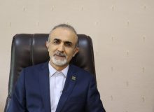 مدیرکل بیمه سلامت استان خبر داد نشان دار شدن ۴۲۵۸ زوج نابارور در گیلان