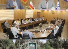 ” عبدالرضا ابراهیمی مدیر عامل سیمان خزر شد