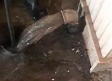 طي سه ماه دوم سال جاري؛ شستشوی بیش از ۲۷۰۰ متر مكعب مخزن ذخیره آب شرب در سطح شهرستان لاهیجان