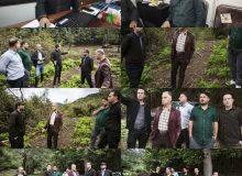 بررسی تعهدات طرح زراعت چوب تنیان صومعه سرا