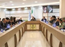 عزم جدی دستگاه ها در برخورد با متجاوزان به منابع طبیعی