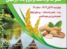 دومین جشنواره بادام زمینی و برنج در لشت‌ نشا برگزار می‌شود