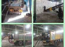 افزایش ۳۲۰ درصدی توزیع کود شیمیایی در گیلان طی سه‌ماهه نخست سال زراعی