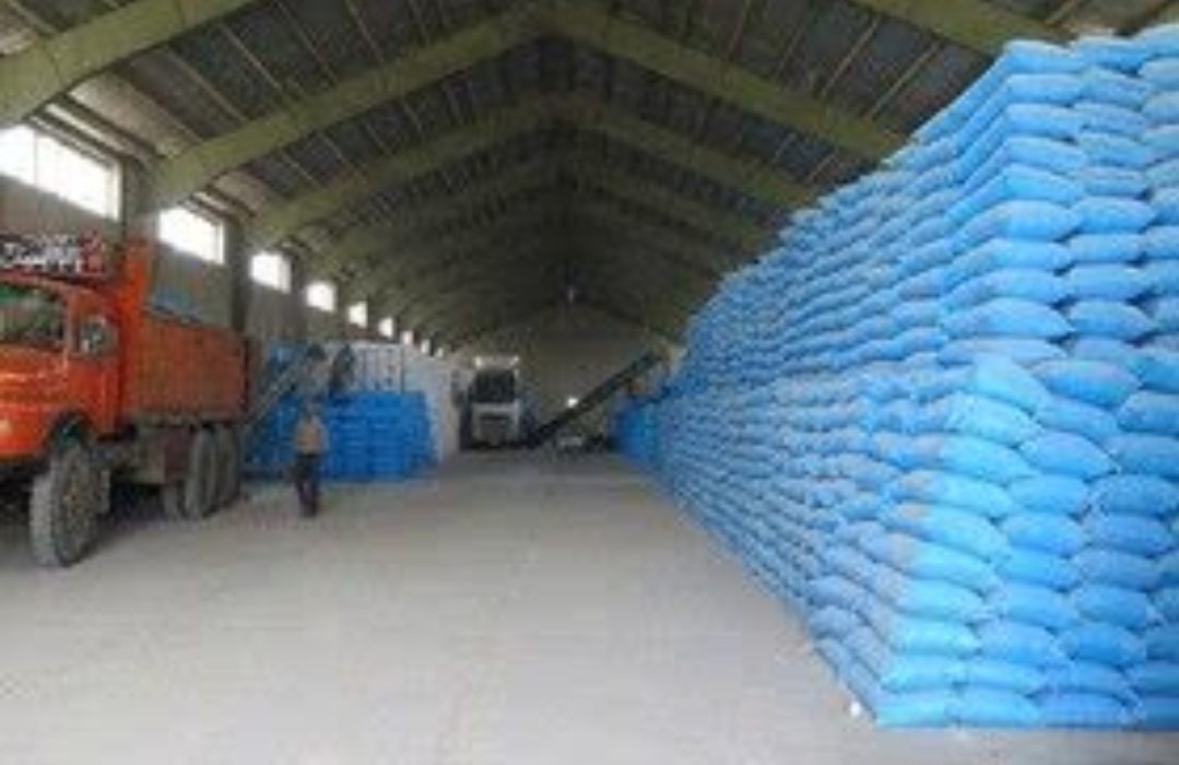 کودهای کشاورزی در رشت فرمانروایی میکنند؛با توزیع به موقع محصول بیسابقه در راه است