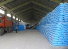 کودهای کشاورزی در رشت فرمانروایی می‌کنند؛با توزیع به موقع محصول بی‌سابقه در راه است 