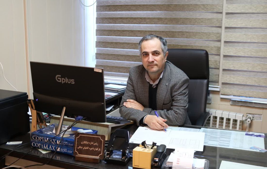 تولید بیش از سه میلیون نهال جنگلی در استان گیلان