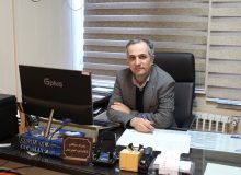 تولید بیش از سه میلیون نهال جنگلی در استان گیلان