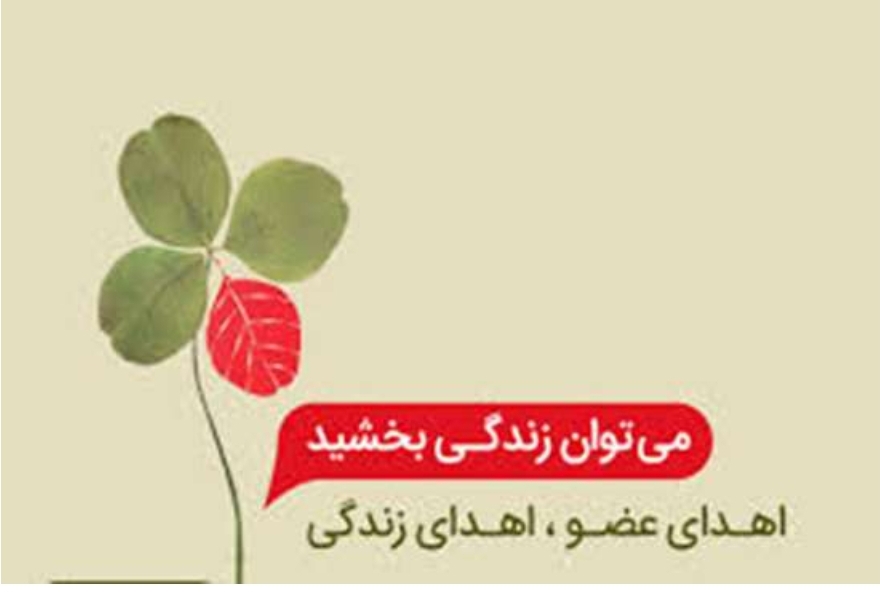 سی و دومین اهدای عضو گیلان در سال‌جاری؛ نجات زندگی بیماران نیازمند پیوند عضو توسط اهداکننده عضو مرحوم محمد قاسمی ملکوتی ۳۲ ساله، اهل لنگرود