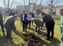 شوقی : ۱۰ هزار اصله درخت بومی برای نخستین بار در سطح رشت غرس می شود