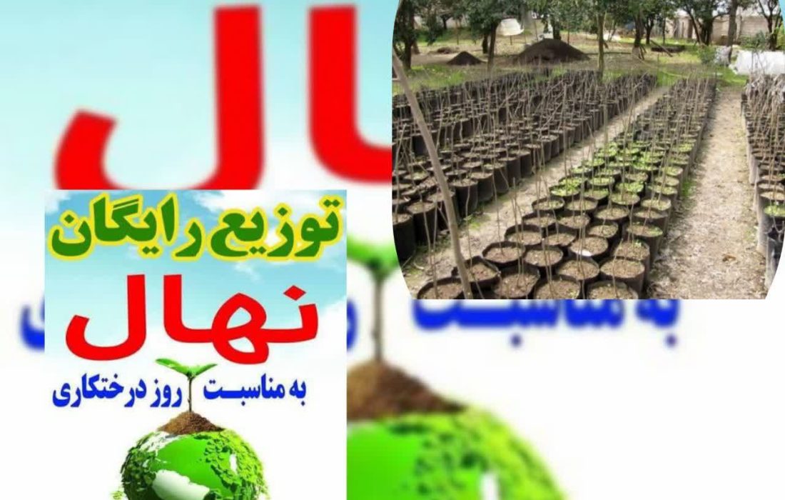 رئیس اداره جنگلکاری ،پارکها وذخیره گاههای جنگلی ازتوزیع رایگان یک میلیون ودویست هزار نهال در بین مردم خبرداد