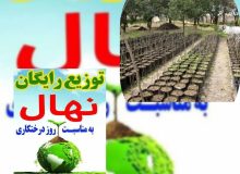 رئیس اداره جنگلکاری ،پارکها وذخیره گاههای جنگلی ازتوزیع رایگان یک میلیون ودویست هزار نهال در بین مردم خبرداد