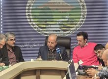 کشف ۷۸۱ مترمکعب چوب قاچاق و دستگیری ۱۳۳۵ متخلف در گیلان/ کاشت ۱۷ میلیون اصله نهال در دو سال