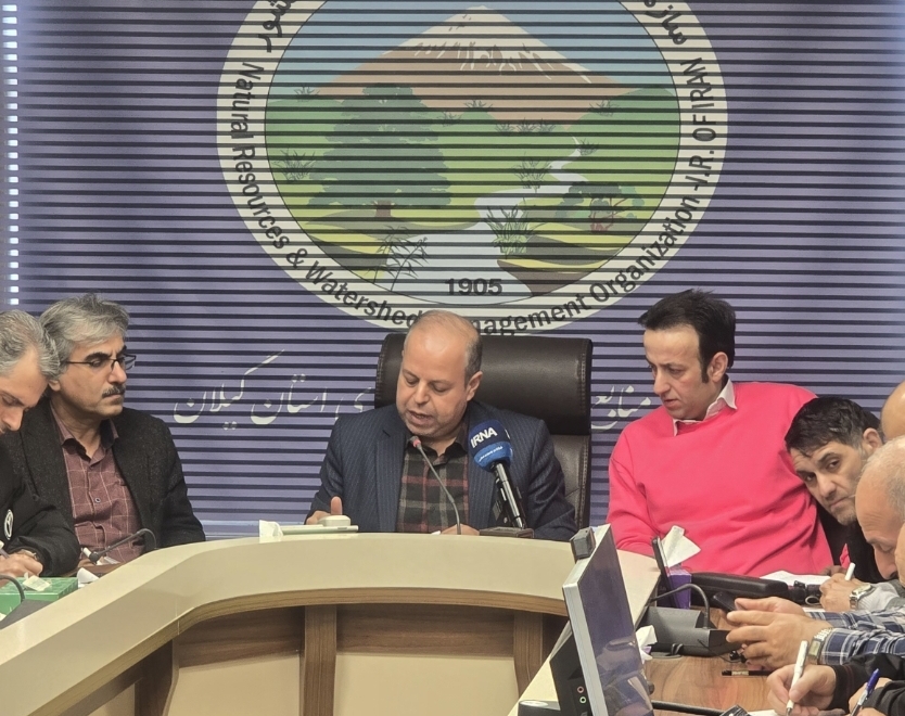 کشف ۷۸۱ مترمکعب چوب قاچاق و دستگیری ۱۳۳۵ متخلف در گیلان/ کاشت ۱۷ میلیون اصله نهال در دو سال