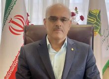 مدیر شعب بانک کشاورزی گیلان : پرداخت بیش از ۳ هزار میلیارد تومان ابزار مالی تعهدی دیجیتال « نوی‌پو » به ۸۷ نفر تولید کننده زنجیره تامین در استان