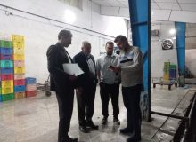 مدیرکل صمت خبر داد: گرانفروشی کشتارگران مرغ‌، شبانه در سیاهکل و صومعه سرا متوقف شد