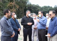 بازدید میدانی شهردار رشت و نماینده مردم صومعه‌سرا در مجلس از کارخانه کودآلی گیلان
