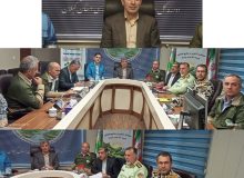 برگزاری شانزدهمین جلسه شورای راهبری حفاظت سازمان منابع طبیعی وآبخیزداری کشور