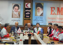 تأکید بر خدمت‌رسانی حداکثری به زائران اربعین در نجف اشرف