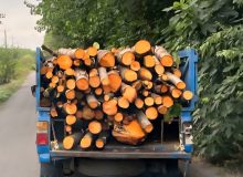 کشف و ضبط چوب آلات توسکا در لاهیجان 