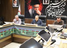 معاون بهداشتی دانشگاه در جلسه شورای اسلامی شهر رشت تاکید کرد: بهسازی محیط توسط شهرداری‌ها و همکاری مردم؛ راهکار اصلی مقابله با پشه آاِدس