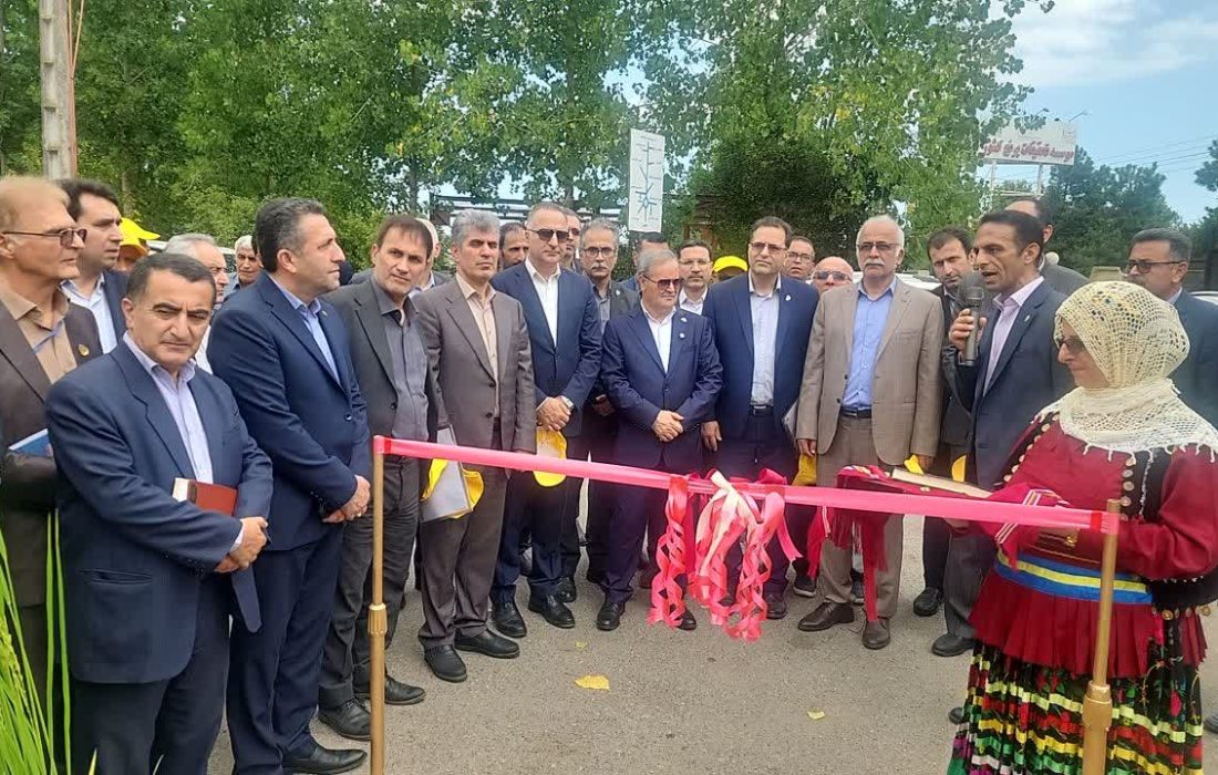 رونمایی از دو رقم جدید برنج «تی تی» و «کویر» در مؤسسه تحقیقات برنج کشور در گیلان