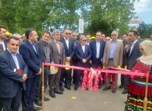 رونمایی از دو رقم جدید برنج «تی تی» و «کویر» در مؤسسه تحقیقات برنج کشور در گیلان