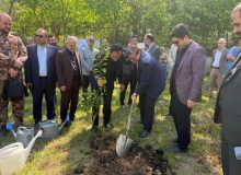کاشت نهال امید به مناسبت اربعین امام شهید در رشت