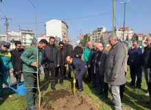 رشت در مسیر توسعه فضای سبز؛ آغاز کاشت درختان بومی در سطح شهر