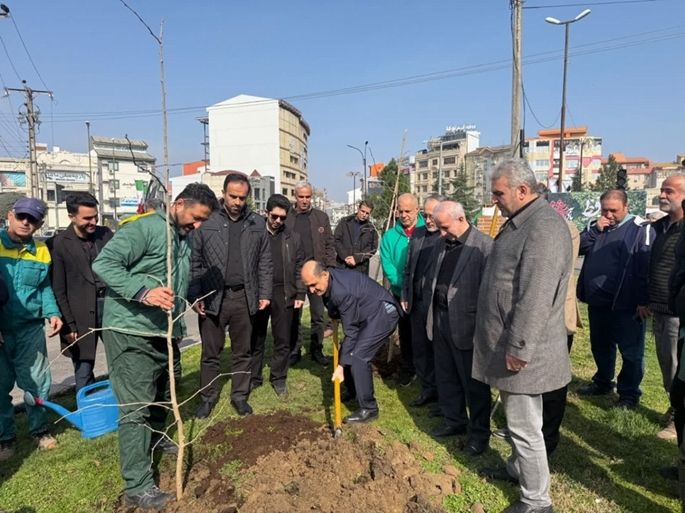 رشت در مسیر توسعه فضای سبز؛ آغاز کاشت درختان بومی در سطح شهر