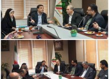 همکاری سازمان های گمرک و غله استان گیلان برای رفع موانع و تسهیل واردات گندم به کشور