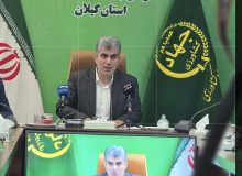 رئیس جهاد کشاورزی گیلان: شالیزارها سرمایه امنیت غذایی کشورند