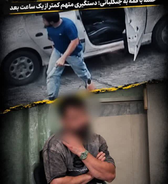 پايان شرارت در کمتر از يک ساعت؛ عامل حمله به جنگلبانان دستگير شد