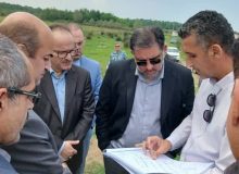 بازدید مدیرکل امور اقتصادی و دارایی گیلان از مزرعه ۱۰۰ هکتاری کیاشهر
