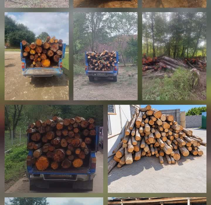 کشف محموله بزرگ چوب‌آلات قاچاق در لاهیجان