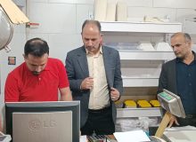 کشف ۲۸۹ پرونده تخلف در حوزه آرد و نان رشت